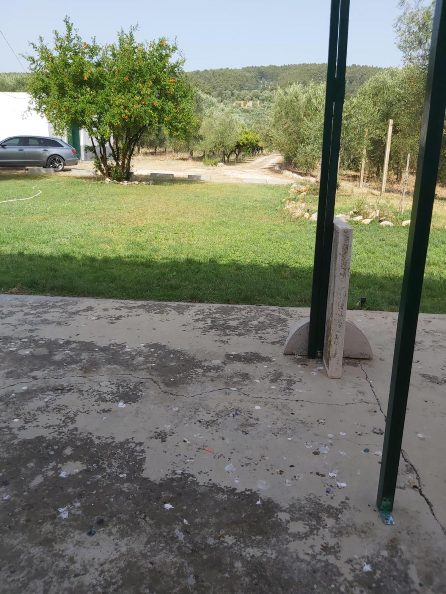 Casa Colonica Di Campagna Come Era Una Volta Peschici Phòng bức ảnh