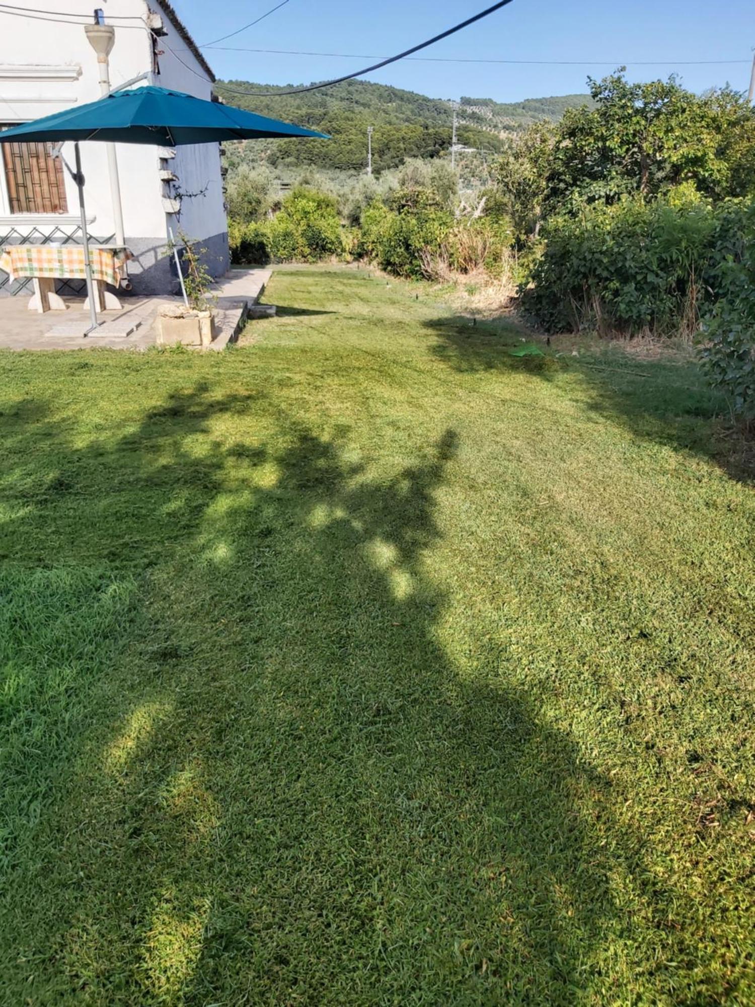 Casa Colonica Di Campagna Come Era Una Volta Peschici Phòng bức ảnh