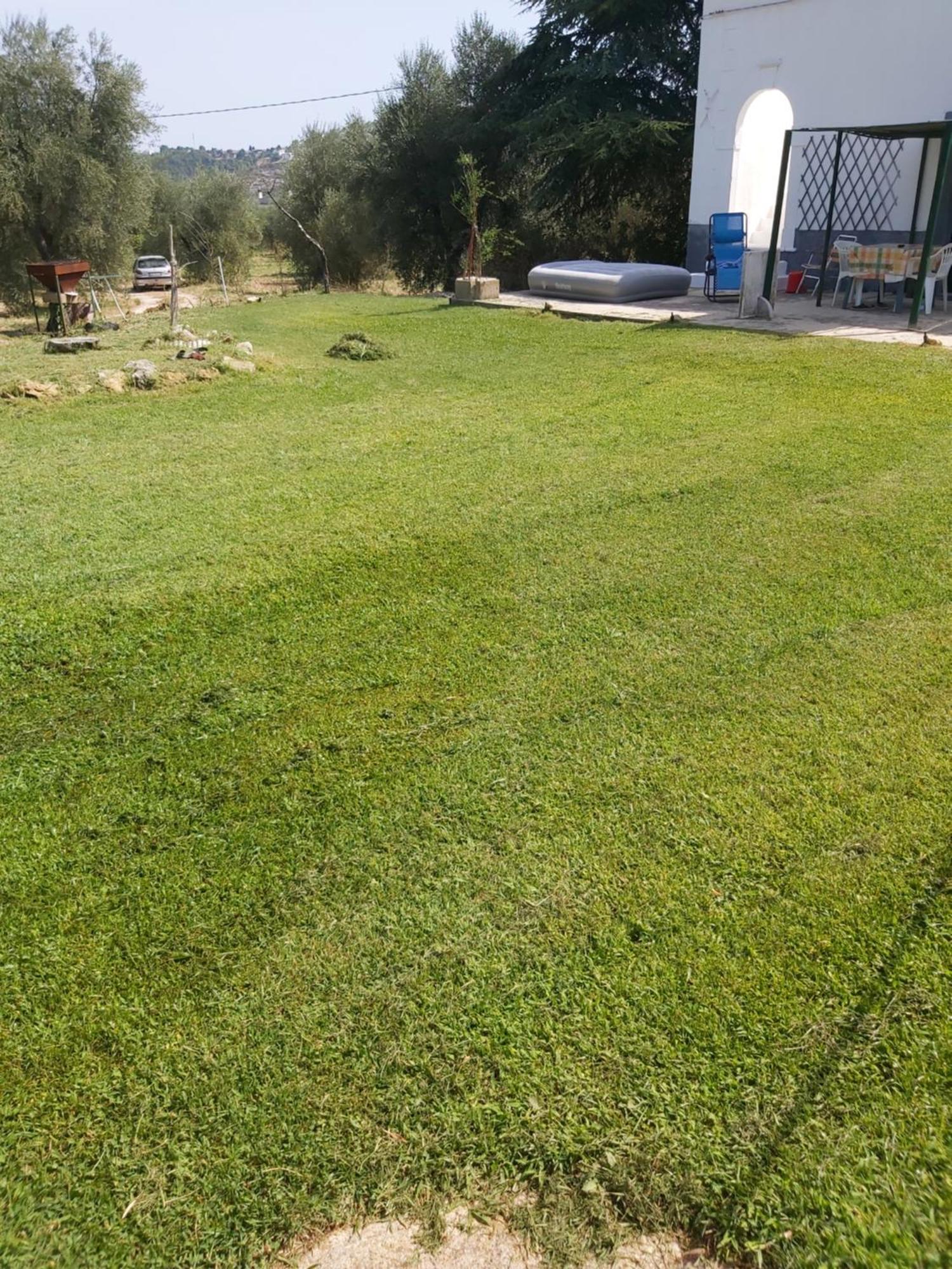 Casa Colonica Di Campagna Come Era Una Volta Peschici Phòng bức ảnh